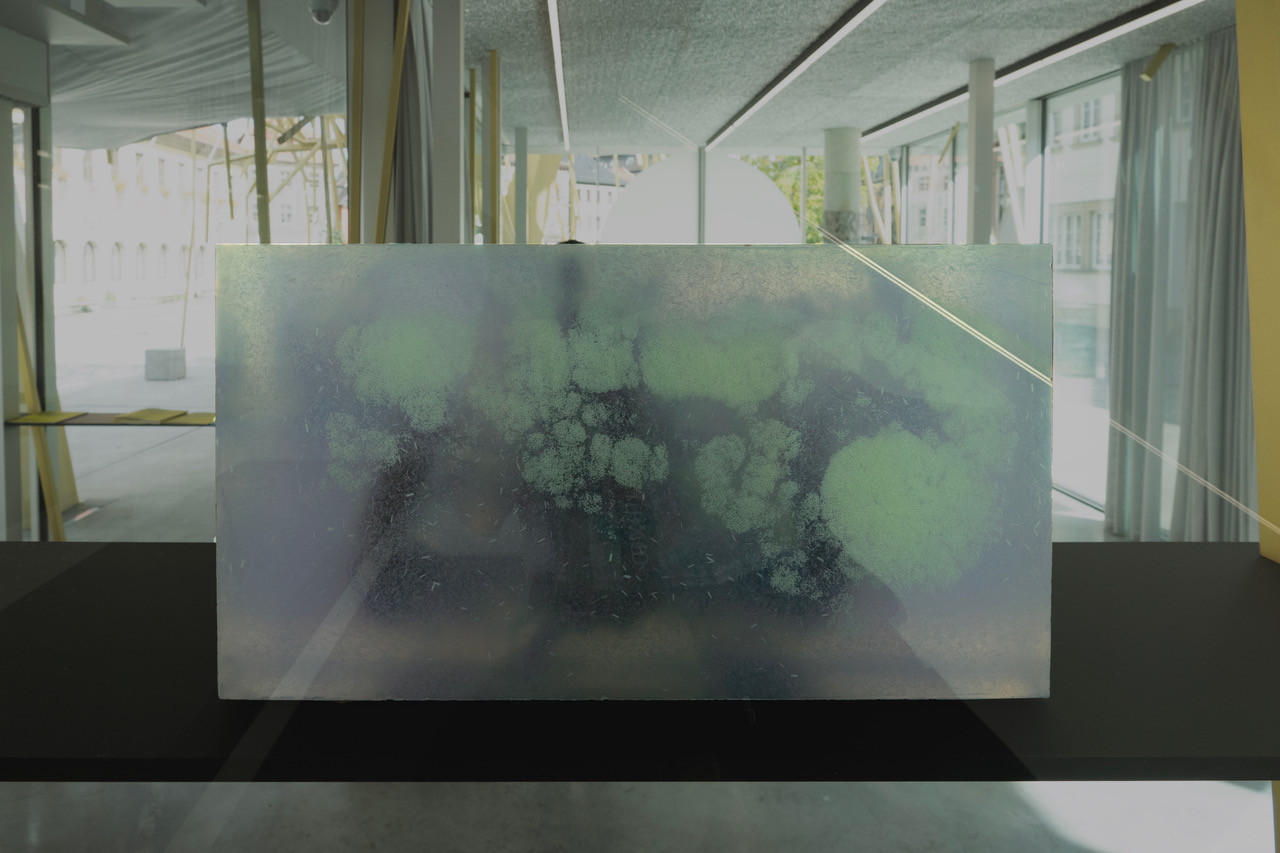 Upstream (t) No. 51, 2017
